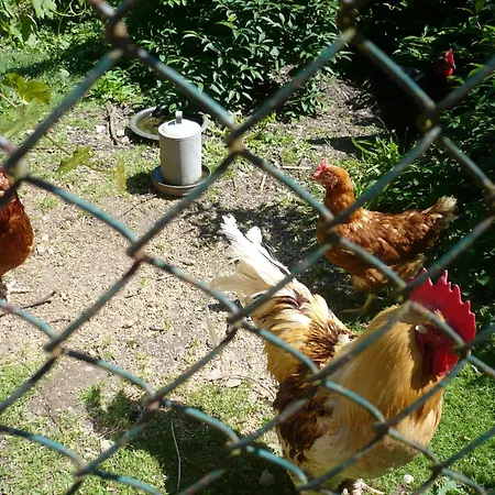 Apartment Gorn Quitzdorf am See