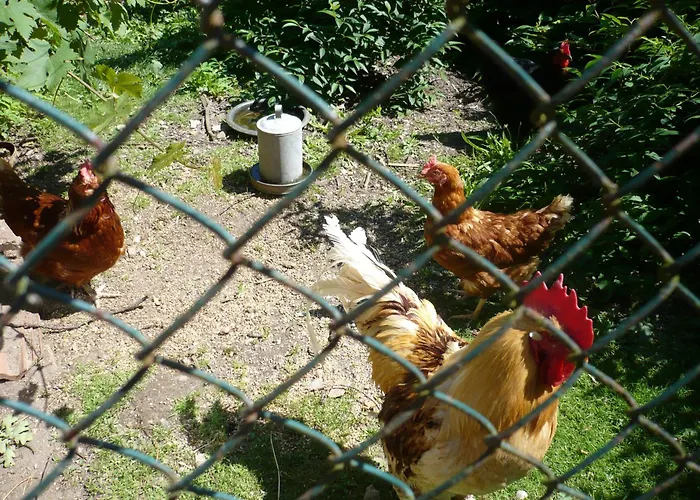 Apartment Gorn Quitzdorf am See